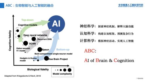 图灵测试要出2.0版 智源研究院重磅发布人工智能的认知神经基础与新型理论算法软件